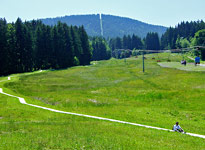 Rodelbahn im Sommer